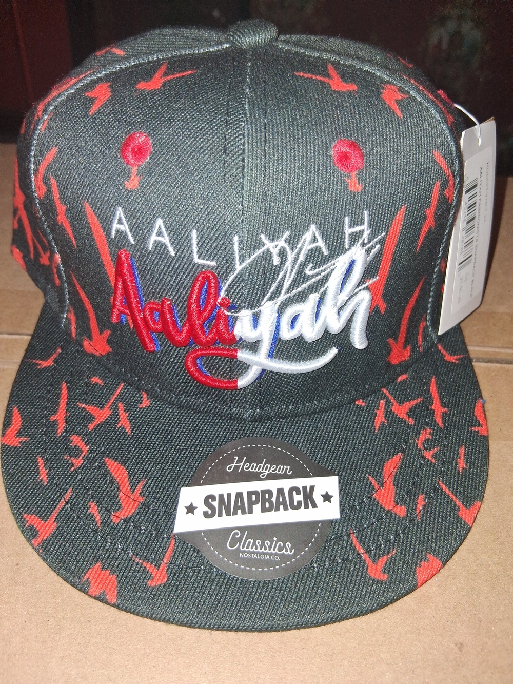 Youth Aaliyah Black & Red Snapback Hat